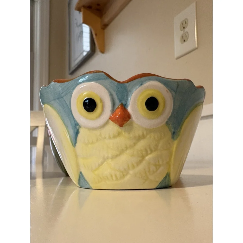 Pier 1 Imports Hand Painted Owl Measuring Cups Set 4 Stoneware Colorful Vintage